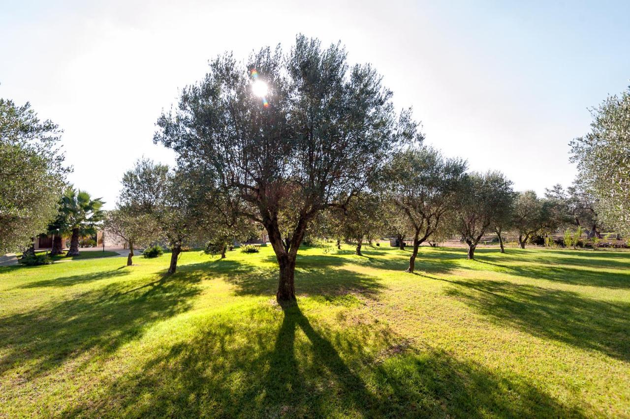 Olive Garden House Villa Borgagne Kültér fotó